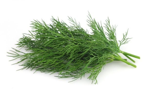 Soya (Dill Leaves)